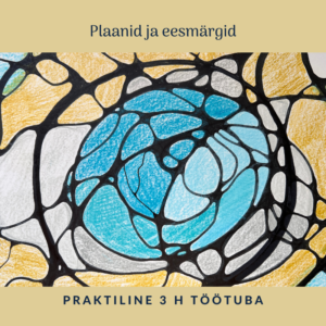 Enesearengulabori praktika "Plaanid ja eesmärgid"